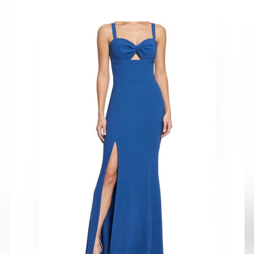 NWT dress the population gown